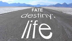 Difference Between Fate and Destiny: Meaning&Use